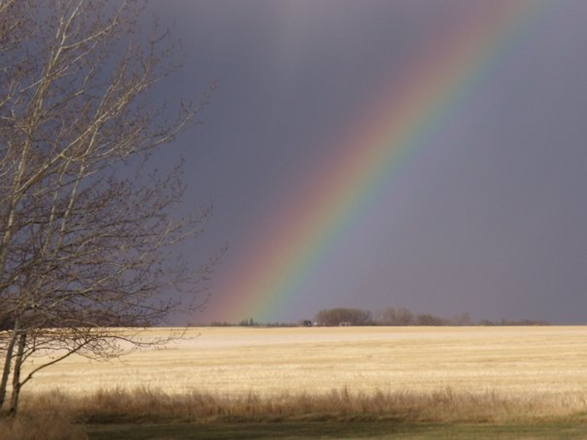 Spring Scenery & Nature Submission